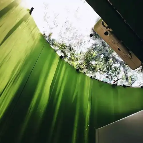 逆天的公厕五星级科普教育自盈利景点打卡地.....