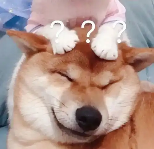 情侣头像丨沙雕情侣头像一人一半情头