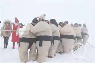 仙女山冰雪季本周末启幕,武隆玩雪耍事多