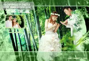 竹林深处婚纱相册模版结婚照模板结婚婚纱相框情侣恋人幸福背景摄影模板精品摄影模板psd婚礼浪漫柔情浪漫婚嫁