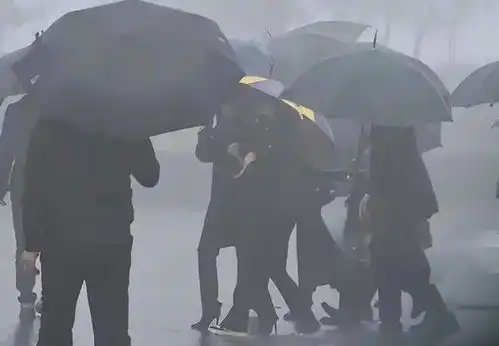 大s下葬现场气氛哀戚汪小菲前一天抵台却缺席,台媒曝原因