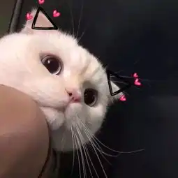 男生长得丑有什么好处