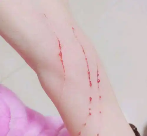 捡了一只奶牛猫回家,养了半年还是很凶还要继续养下去吗