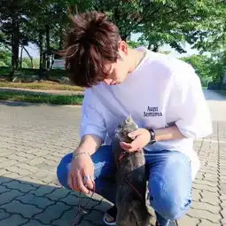 头像顺其自然的背后总是无可奈何