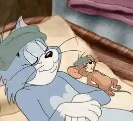 你所不知道的猫和老鼠