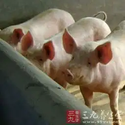 有关人士称猪价下降主要受疫情影响出栏导致