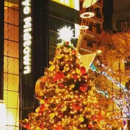 带大家感受一下东京的圣诞气氛