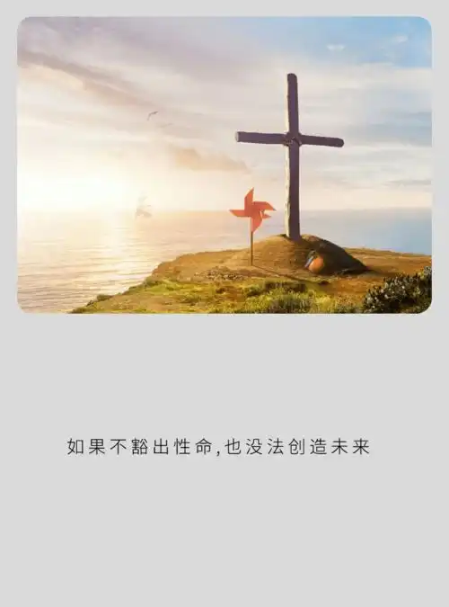 头像我是要成为海贼王的男人