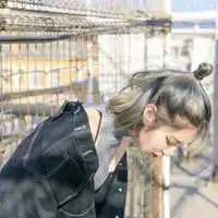 佛系情侣头像高清微信头像图片大全