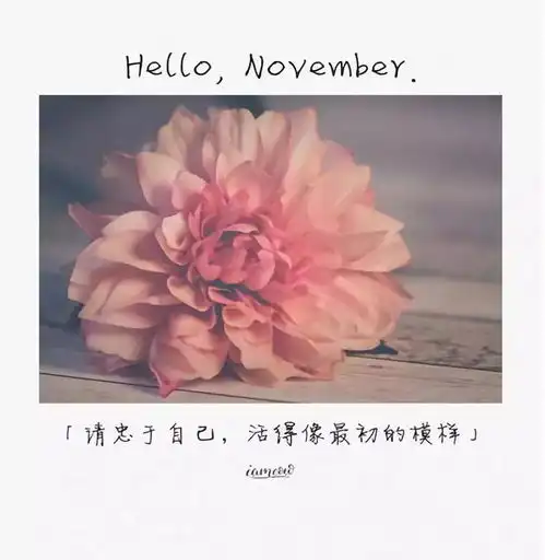 愿你余生前程似锦,未来可期
