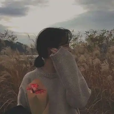 测试一个超长简介的文章