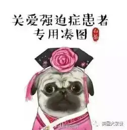 欧洲人爱在车里做什么给英国人跪了,意大利人最污,中国人民怎么选