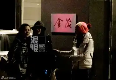 组图秦岚会友心情佳陆川低落回京未见女方