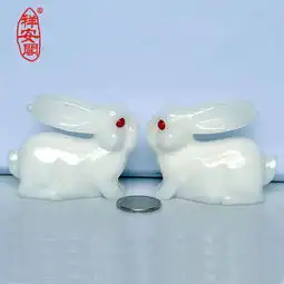 开光白玉兔玉兔呈祥一生有财增旺桃花改善人际关系