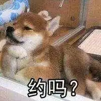 碟中谍6首发预告阿汤哥这次又扒飞机又跳楼还顺便爬悬崖