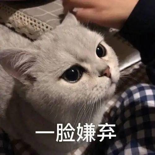 突击厦门又有外卖后厨被查食物混放脏乱差太恶心