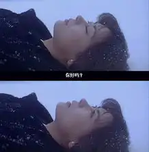 我为什么不看爱情片