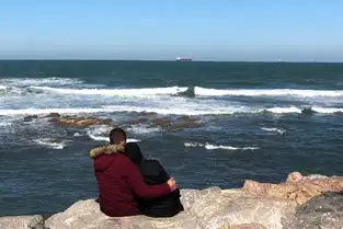 测试一个超长简介的文章