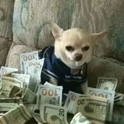 微信qq头像看上的挑啦