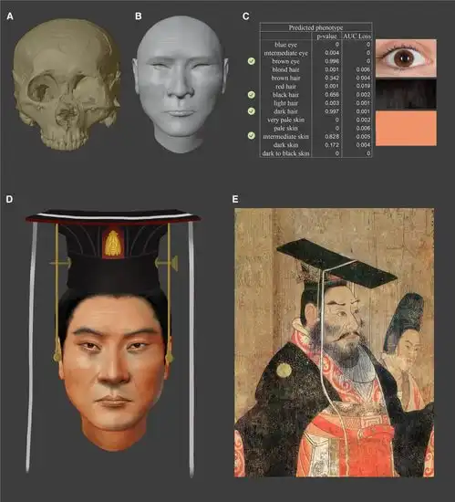 复原帝王容貌,破解千年悬案,华大智造g99测序仪还能这样用