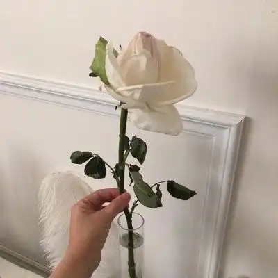 测试一个超长简介的文章