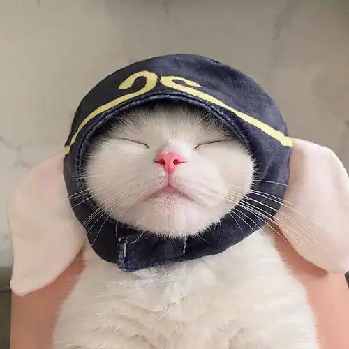 今日份分享沙雕头像