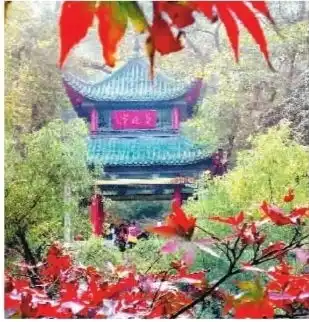 图片新闻二
