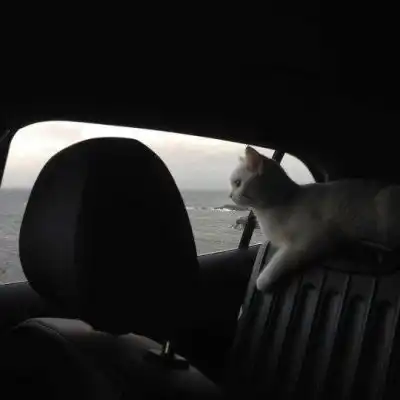 唯美风治愈压抑背景图你想和谁风景静物头像我要个性网