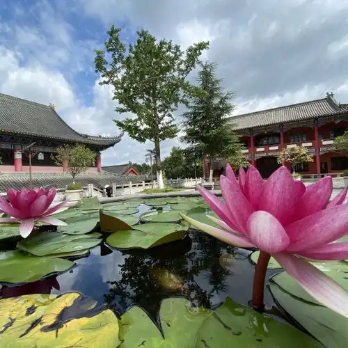 20210714大兴国寺地址,大兴国寺电话,大兴国寺图片360地图