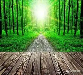 生命选择吃素还是吃肉让这些来告诉你