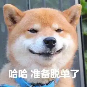 单身推荐85年成熟理性男生,希望找到一位相互理解体谅的伴侣共度余生