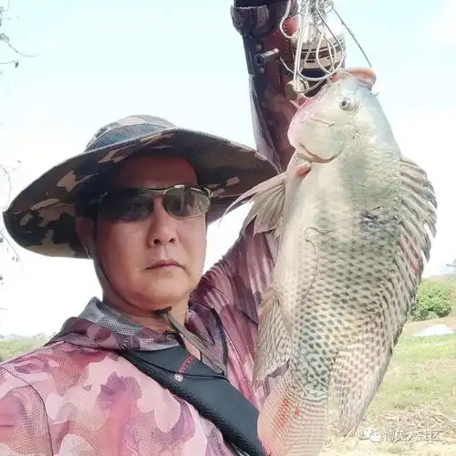 陆丰林先生做了这件事,上了抖音热门