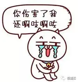我们分手吧,因为你是湛江人一对情侣的聊天记录曝光