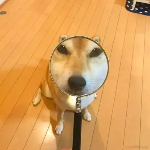 测试一个超长简介的文章