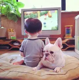 为拯救沉迷电视的孩子,爸妈们竟然这样做