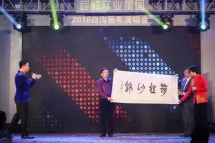 河北辰祥实业集团暨明星演唱会在中国白沟盛典举行