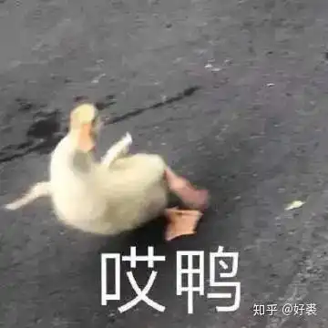 5次留学租房体验变态房东奇葩室友我一个都没错过...