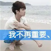 测试一个超长简介的文章