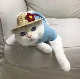 情侣头像阁下的心本姑娘收下了