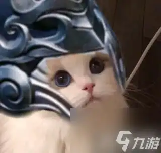 九游游戏中心王者荣耀猫咪刺客头像大全
