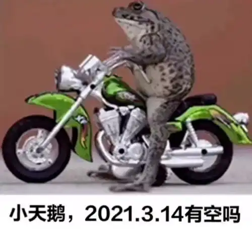 表情包今日份表情包