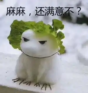 在海西,有故事的男童鞋很多,有毛病的女童鞋也不少