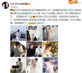 向佐与郭碧婷婚礼现场照曝光,新郎新娘夕阳下告白温馨幸福