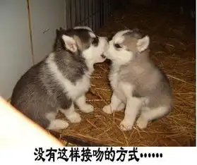 搞笑gif说实话,我只看到个眼珠子,我都不知道他长啥样