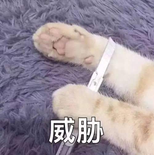 表情包可爱沙雕的拍一拍后缀