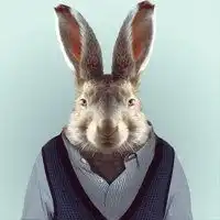 适合卖衣服的头像微信头像图片大全