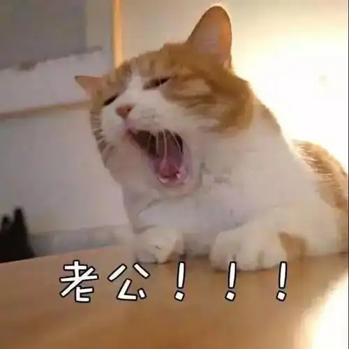 精选100张超甜的微信头像,赶紧收藏起来