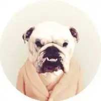 测试一个超长简介的文章