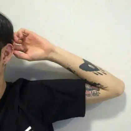 测试一个超长简介的文章