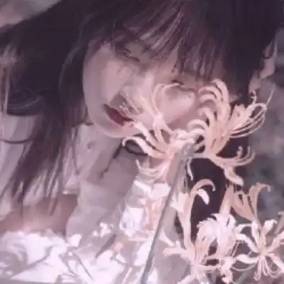 测试一个超长简介的文章